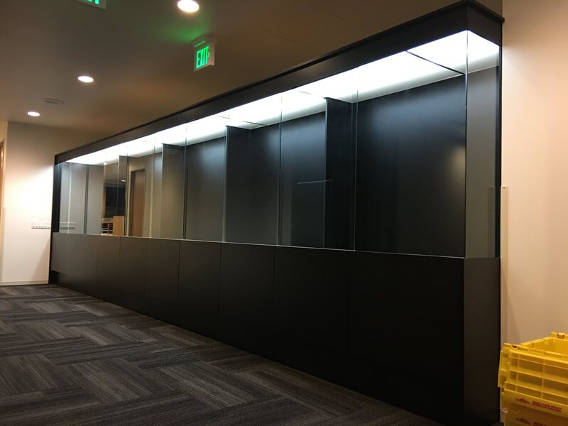 Illuminated black display cabinet